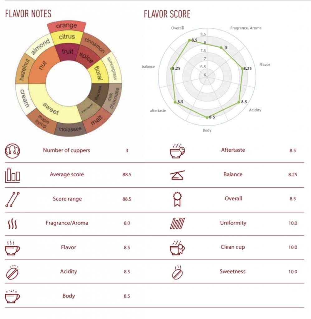 Acheter NoordCode Pure Coffee Light Roast Whole Beans 250g chez LiveHelfi