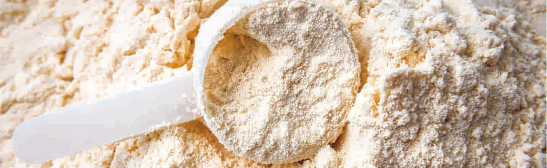 Quelle est la meilleure whey protein ?
