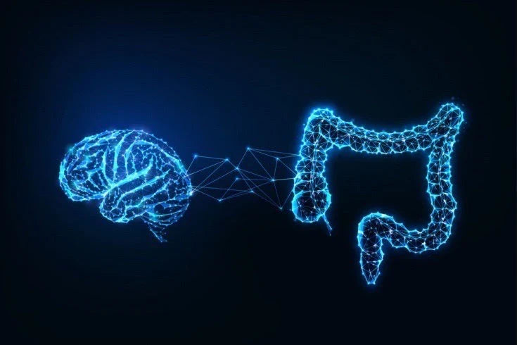 Libérez le potentiel des prébiotiques et probiotiques pour la santé intestinale