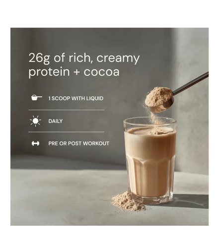 Longevity Protein Chocolate