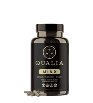 Qualia Mind 2.0